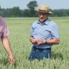 Landwirt Johann Fröhlich und Kreisobmann Martin Mayr (rechts) zeigen, dass der Weizen noch gut ausschaut.
