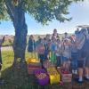 Die Schulkinder der 2. Klasse freuen sich mit ihrer Lehrerin Eva Müller auf das Apfelpressen. Günther Paa vom Bund Naturschutz begleitet sie dabei.