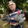 Herbert Dieminger züchtet Hühner. Sein Nachbar stört sich am Lärm - und hat nun erfolgreich gegen den Züchter geklagt. 