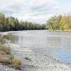 Im Augsburger Stadtwald hat der Lech seine letzte größere Fließstrecke in Bayern. Die Pläne für einen natürlicher fließenden Fluss sind in Konflikt mit einem neuen Wasserkraftwerk, das dort beantragt ist.   