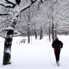 Auch im Winter kann man draußen Sport treiben, wie dieser Jogger im Wittelsbacher Park
