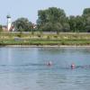 Ideale Bedingungen zum Schwimmen und Abtauchen fanden diese drei „Wasserratten“ im Hagenrieder Weiher bei Münsterhausen vor. Bei 35 Grad Außentemperatur tat eine Abkühlung am letzten Wochenende vor dem kalendarischen Sommerbeginn am 21. Juni so richtig gut. 