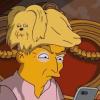 Donald Trump trägt bei den Simpsons ein Hündchen als Toupet. 
