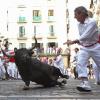 Noch bis zum 14.Juli werden in Pamplona täglich mehrere Stiere durch die Altstadt gejagt und schließlich in der Arena getötet.