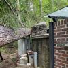 Durch den Juli-Sturm sind auch im Bereich der Maria Vesperbilder Grotte Schäden entstanden. "Viele sagen: 'Das ist doch ein Wunder', denn der Baum fiel haargenau zwischen der Grottenmauer und dem Elektrokasten auf den Christbaumständer", berichtet die Wallfahrtsdirektion.