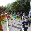 Bei bestem Wetter starteten am Sonntag viele kleine und große Läufer beim Meringer Marktlauf des TVM.