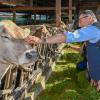 Die Bilder vom Besuch des Bundeslandwirtschaftsministers Cem Özdemir und den Landtagskandidaten von Bündnis 90/Die Grünen auf dem Jackelhof, ein Milchviehbetrieb,  bei Familie Höpfl.
