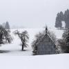 Derzeit fragen sich viele Menschen, wie das Wetter im nächsten Winter wird. Vermeintliche Wetterpropheten sagen voraus, dass wir mit viel Schnee und Frost rechnen müssen. 