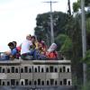 Per Anhalter bewegen sich die Flüchtlinge durch Guatemala und Honduras in Richtung mexikanischer Grenze. Weil sie kein Visum haben, kommen die meisten von dort aus nicht weiter. 