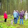 Schönheiten im Holzwinkel