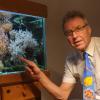 Na so was! Helmut Rigling, Vorsitzender der Aquarienfreunde Mering, zeigt, dass in seinem Aquarium dieselben Fischarten und Garnelen leben, wie man sie auf seiner Krawatte sehen kann.