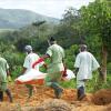 Mitglieder des roten Kreuzes von Guinea tragen einen mit Ebola infizierten Leichnam über den von frischen Gräbern übersäten Friedhof von Gueckedou, Guinea.