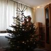 
Irina freut sich über ihren Christbaum, den ihr jemand geschenkt hat, um ihr eine Weihnachtsfreude zu machen.