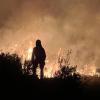 Auch Tschechien kämpft mit Waldbränden.