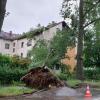 In der Schillstraße warf der Sturm einen Baum gegen ein Haus Sturmschaden Gewitter Unwetter