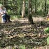 Ein Jahr nach dem Orchideenfrevel im Wald bei Oberndorf ist die Fläche, auf der Glyphosat ausgebracht wurde, noch immer tot. 