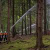 Mehr als 200 Feuerwehrleute haben am Samstag an einer Übung bei Fremdingen teilgenommen. Simuliert wurde auch ein Waldbrand, Probleme gab es mit dem steilen Gelände.