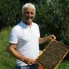 Seit 25 Jahren imkert Werner Bader. Er kennt die Gefahren, die Bienen ausgesetzt sind.