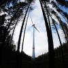 Im Ebenrieder Forst hat die Marktgemeinde Pöttmes im Jahr 2012 eine Konzentrationsfläche für Windkraft ausgewiesen. Drei Investoren wollen dort Windräder errichten.