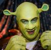 2014 kam Markus Söder als „Shrek, der tollkühne Held“ zur Prunksitzung des Fränkischen Fastnachtsverbandes „Fastnacht in Franken“ nach Veitshöchheim.