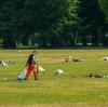 Verschmutze Wiesen im Englischen Garten in München sind ein großes Problem. 