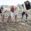 Bei der mühsamen Flachsaat beobachtet: (von links) Markus Trägner, Josef Honke und Rudolf Huber.  