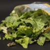 Einige Salate von Fresh Care wurden wegen Listerien zurückgerufen.