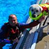 Rettungsschwimmer Stefan und Rettungshund.