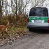 Nach dem Fund einer Leiche wurden auch Polizeihunde bei der Suchaktion nahe der B16 bei Günzburg eingesetzt.