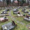 Das Urnenfeld auf dem Herrgottsruh-Friedhof in Friedberg unterliegt genauen Gestaltungsregeln, doch nicht jeder hält sich daran.