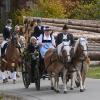 Fünf Zweispänner und 13 Einzelreiter waren am Sonntag beim Leonhardiritt in Gessertshausen zu sehen. 