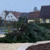 Unbekannte haben im vergangenen Jahr den Christbaumbaum in Bachhagel zersägt. Und das einen Tag vor dem Weihnachtsmarkt.