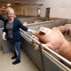 Im Donauried ziehen Bernhard und Sonja Fink (im Bild mit Sohn Simon) ihre Schweine in einer Art Wohlfühlstall auf. 