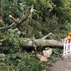 Ein Unwetter am späten Dienstagabend hat auch im Unterallgäu Schäden angerichtet. Im Kurpark von Bad Wörishofen beispielsweise stürzten große Bäume um. In Dirlewang verlor der Maibaum seine Spitze.
