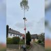 Tobias Kotter aus Wertingen schreibt stolz, dass er nach langer Planung und Organisation für seine Freundin Anna aus Rieblingen einen 16 Meter hohen Maibaum stellen konnte.