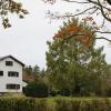 Das Carl-Orff-Museum am Ziegelstadel 1 in Dießen kann erweitert werden. Eine Herausforderung für die Bauherren besteht unter anderem darin, den Mammutbaum beim Bau schützen.