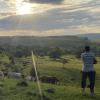 Jeden Morgen, jeden Abend, gibt es im rumänischen Viscri das gleiche Bild zu sehen. Gegen sechs Uhr sammeln die Hirten das Vieh bei den Dorfbewohnern ein. 