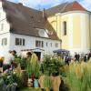 Am Wochenende und bis zum Feiertag Tag der Deutschen Einheit finden die Gartentage auf Schloss Scherneck bei Rehling statt.  	