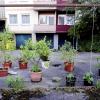 Dieses Beispiel von Urban Gardening stammt aus dem Augsburger Stadtteil Hochzoll.