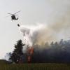 Wegen eines Waldbrandes ist in der Toskana ein Campingplatz mit etwa 1100 Touristen vorsichtshalber evakuiert worden.