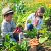 In der Kindergärtnerei könnten die Kinder ihr eigenes Gemüse anbauen. Ob aus dem Projekt etwas wird, ist aber fraglich.