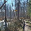 Der Premiumwanderweg Donauwald ist aus dem Winterschlaf erwacht. 