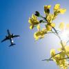 CO2-Kompensationen für Flugreisen können von der Steuer abgesetzt werden.