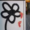 Graffitis wie dieses machten den Schöpfer der Augsburgblume populär.
