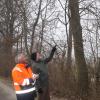  Umweltreferent Ludwig Klingler (rechts) und Betriebshofleiter Johannes Deisenhofer begutachten die betroffenen 26 Eichenbäume. Beide wollen mit der Fällung auf Nummer „sicher“ gehen.