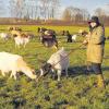 Die Schäferin Catrin Kramer aus dem Landkreis Dillingen ist das Jahr immer bei ihrer Herde - wie einst die Hirten bei Bethlehem.