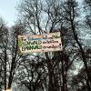 Klimaaktivisten haben am Freitagmorgen Plakate zum Erhalt des Lohwalds in Meitingen aufgehangen. 