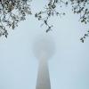 Wie Sie sehen, sehen Sie nichts: Nebel in Hamburg. 