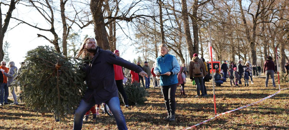 Augsburger Stadtwald startet mit Weihnachtsbaumweitwurf-Wettbewerb ins neue Jahr