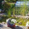 Sie möchten einen Mini-Teich im Garten anlegen? Wir haben hilfreiche Ideen und Tipps zum perfekten Standort für Sie.